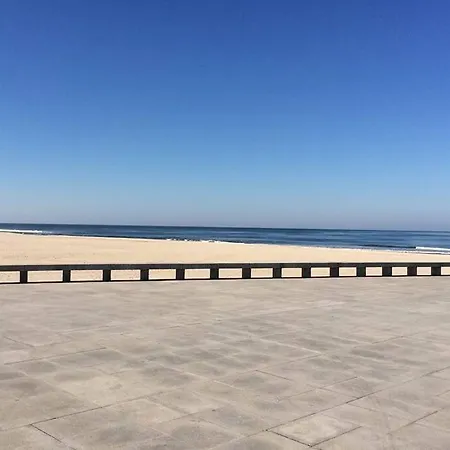 Maison Proche De La بيت للعطل Murtosa