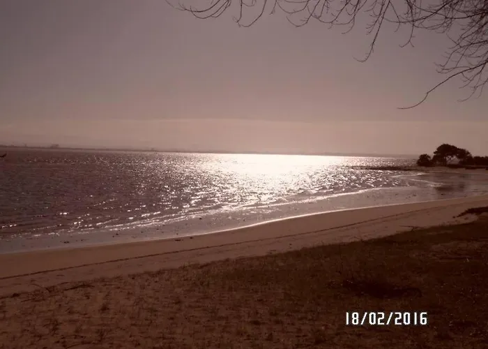 Maison Proche De La * Murtosa